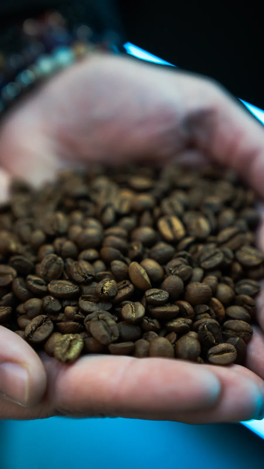Specialty Grade 1 coffee beans held in a hand before loading the hopper